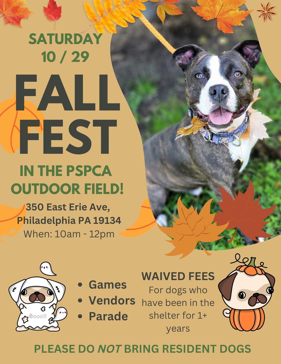 PSPCA's tweet photo. SAVE THE DATE - On Saturday, October 29, we're hosting a Fall Fest at the PSPCA. 

The day will include a parade of adoptable pups, games and a photo booth! All dogs who have been at the shelter for more than a year, will have their fees waived!

Please share! https://t.co/GxPhGCBx6Q