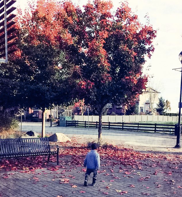 chcareoptions's tweet photo. "Every leaf speaks bliss to me, fluttering from the autumn tree." ~ Emily Bronte
#qotd #October #autumn #fall #play #playoutside #outdoorplay #nature #besttimeoftheyear #whereisfall https://t.co/y46xJsDrLs