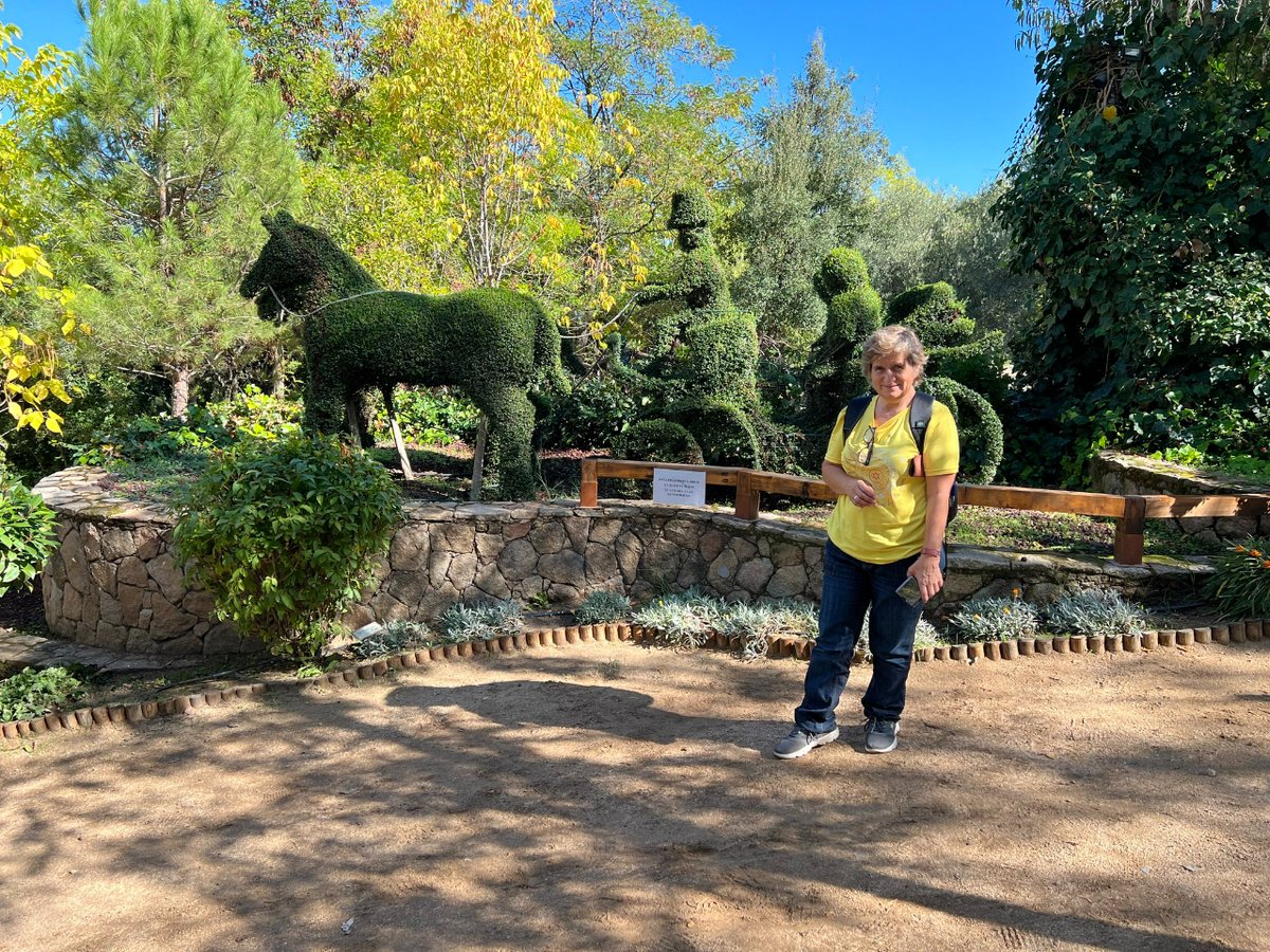 avanza_ong's tweet photo. Ayer, magnifico día en El bosque encantado con @ProyecEsperanza 
Unas horas muy agradables disfrutando de una naturaleza especial 🌳🌿🍃 https://t.co/QKWOJRDzZa