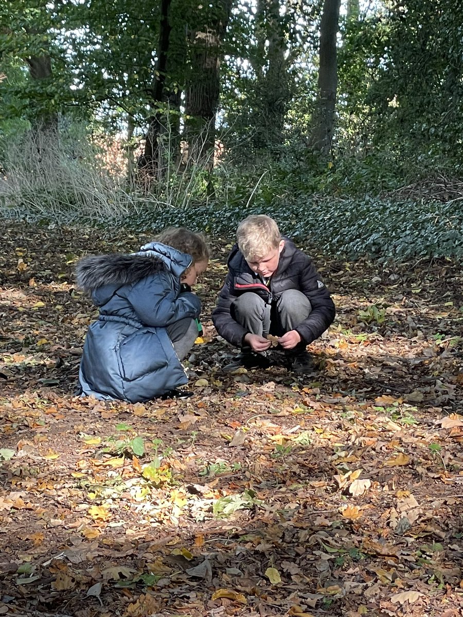 Class2Winthorpe's tweet photo. A lovely afternoon in the woods investigating light sources and shadows for Science! 🔦 ☀️ 🌳 https://t.co/QatGiNHhLW