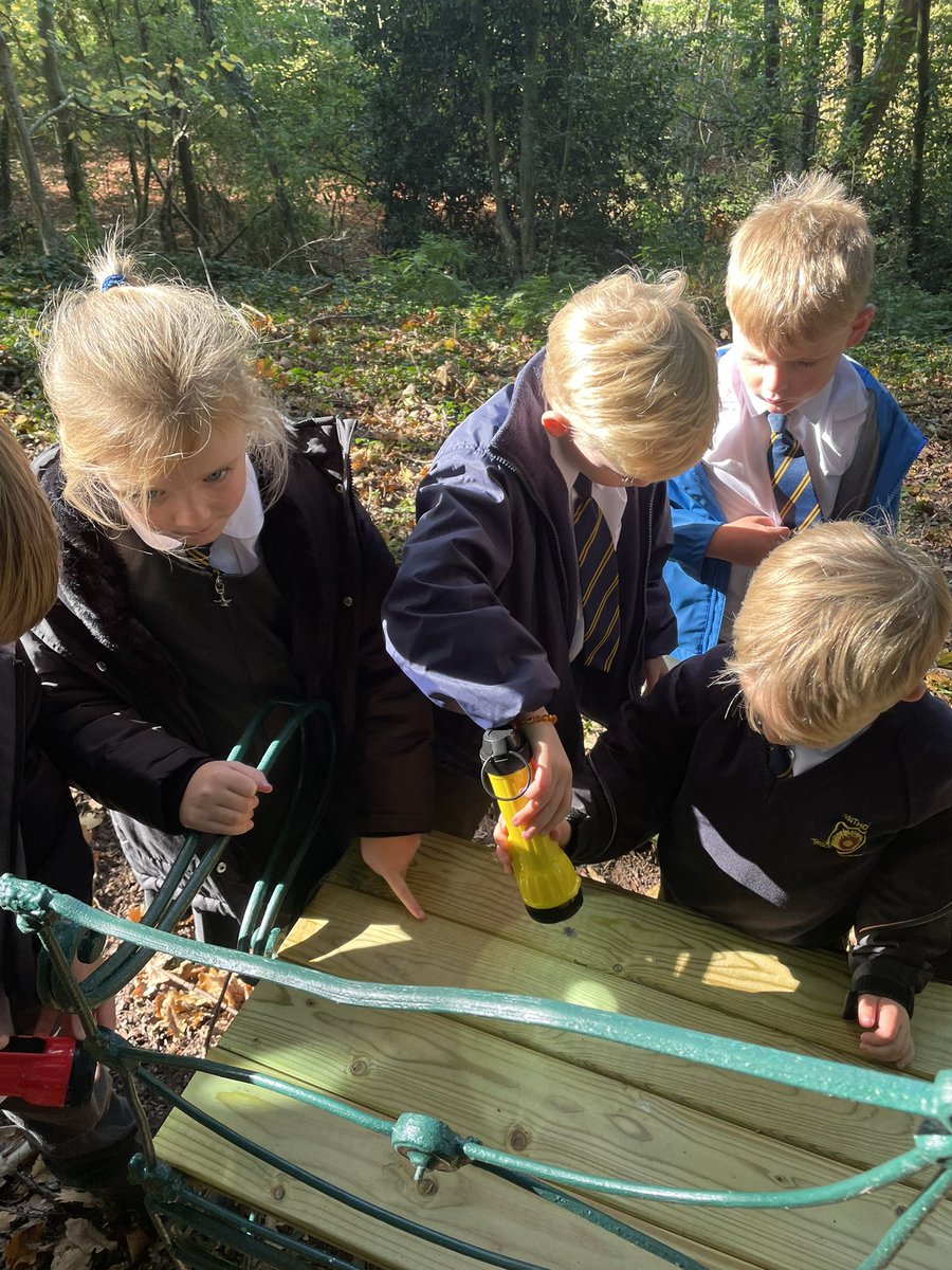 Class2Winthorpe's tweet photo. A lovely afternoon in the woods investigating light sources and shadows for Science! 🔦 ☀️ 🌳 https://t.co/QatGiNHhLW