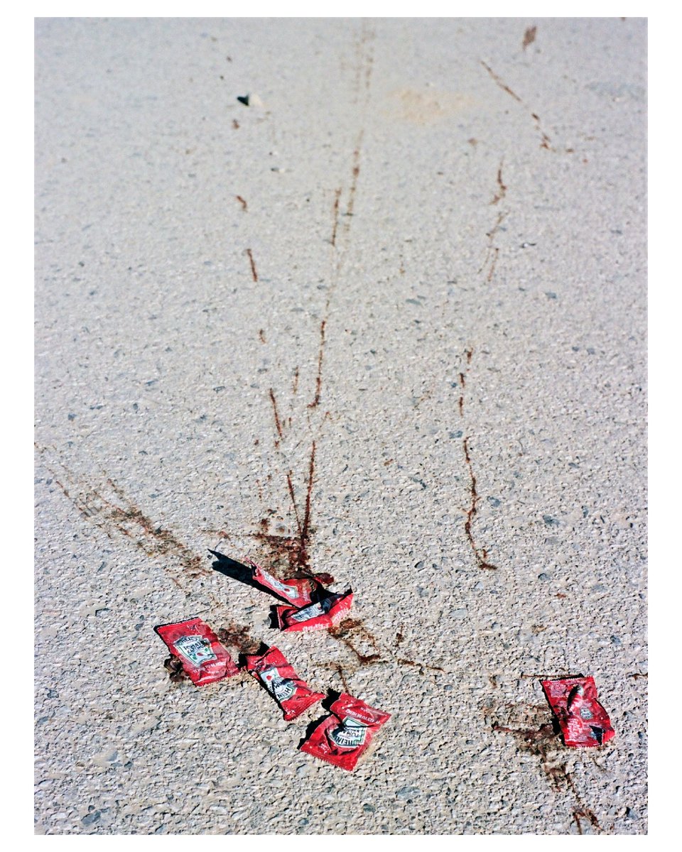 Murder in the desert.  #filmphotography #portra160 #nikonf3