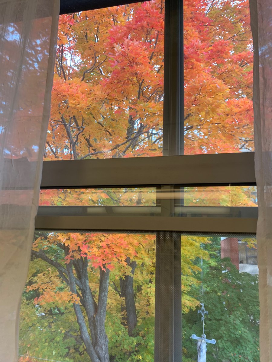 My office reading nook view…
<a href="/UNHSocialWork/">UNH Social Work</a>