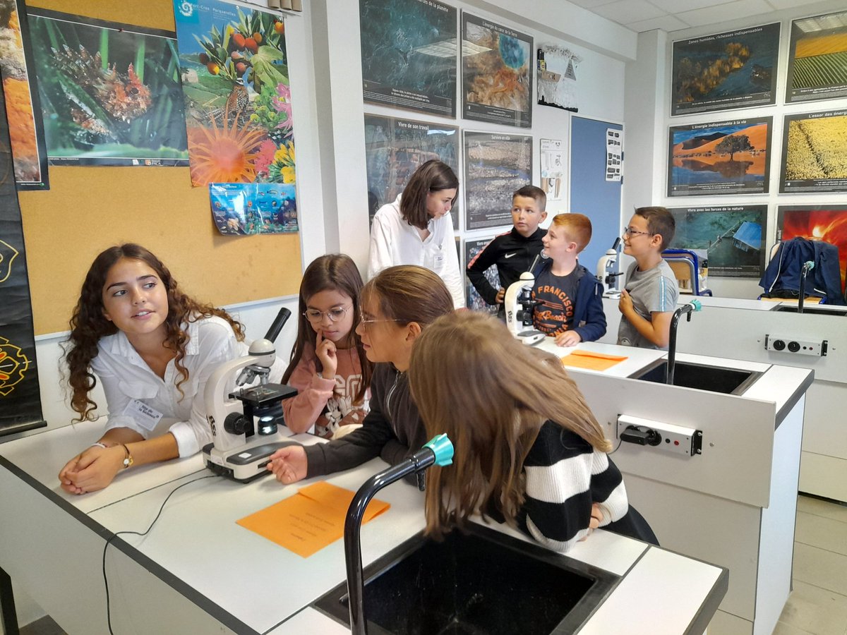 CE_FontdeFillol's tweet photo. Atelier 11 : 🐌 KHO LANTA 🐛
Découverte des différents insectes : qu'est ce qui se cache dans les boîtes ? 🦗 qui a t'il dans les lamelles des 🔬 ?
Quel est l'impact du réchauffement climatique sur la biodiversité ?
#FetedelaScience
#biodiversite 
#ecocitoyennete https://t.co/8hzn3DmKGZ