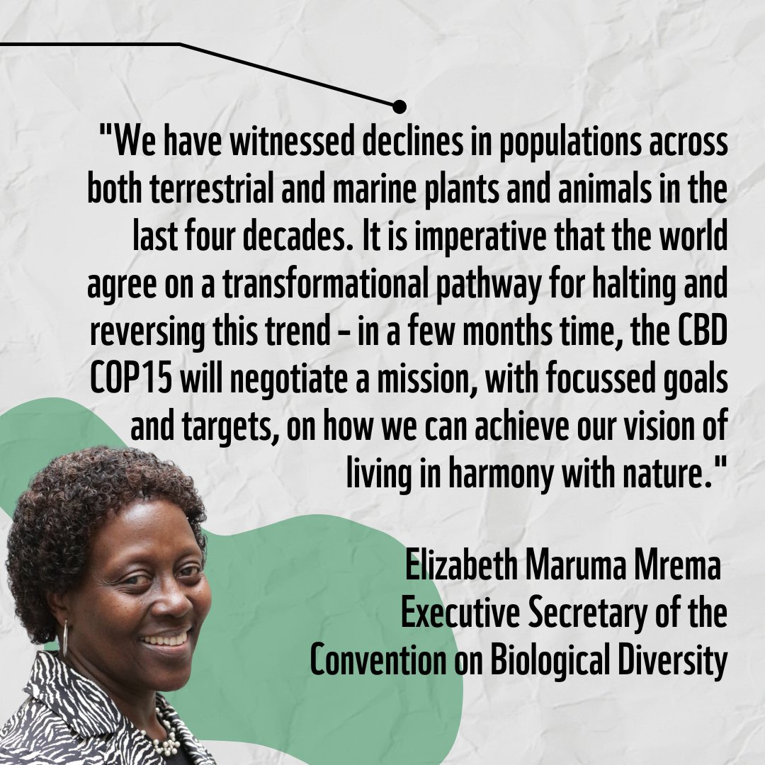 The crisis in nature is all too evident - we have lost 69% wildlife populations since 1970 😰 We need an ambitious Global Biodiversity Framework capable of driving immediate action on the ground - there is no time to waste! @mremae #ForNature #COP15 #LivingPlanet #LPR2022