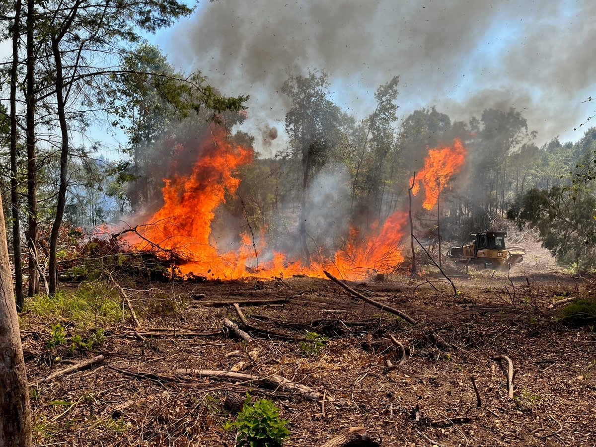 Yesterday, Texas A&M Forest Service responded to 3 wildfires for 112 acres. While moisture from the Gulf slows wildfire activity, low potential remains in timber litter fuels for regions of Texas, including Southeast, Northeast, North, Central Texas and the Western Pineywoods.