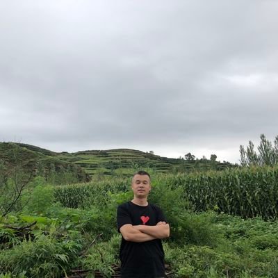 滕彪on Twitter: