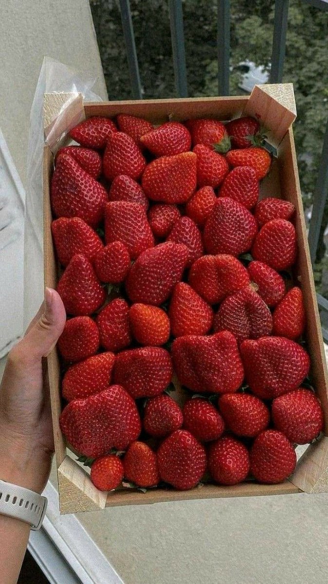 300moods's tweet photo. strawberries 🍓 https://t.co/W51ACUZHzd