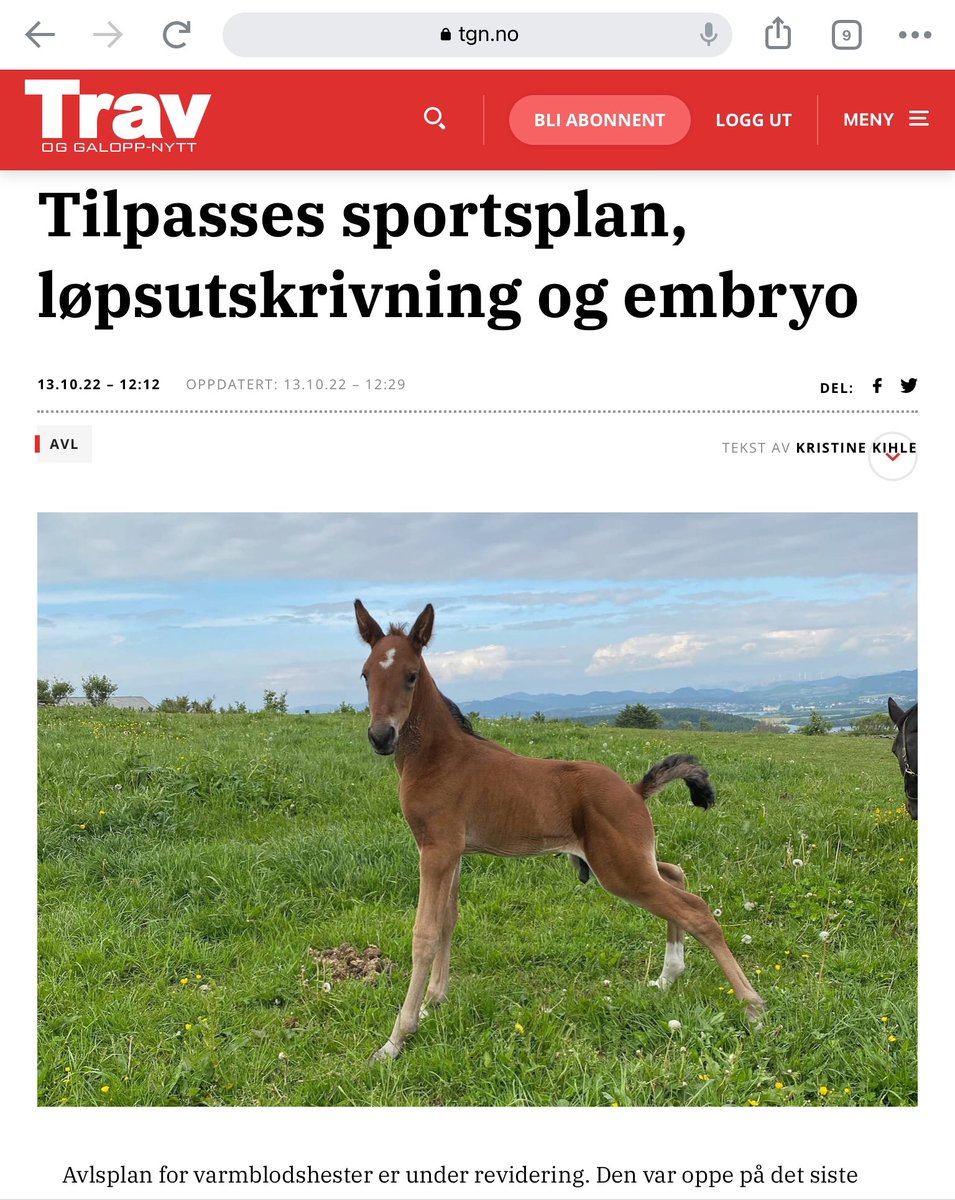 Innrømmer lett at jeg ikke er større på det enn at jeg syns det er veldig stas når <a href="/tgn_no/">Trav og Galopp-Nytt</a> velger å bruke bildet mitt, av The Dude som føll i fjor, i sin sak om ny avlsplan🤩🤘