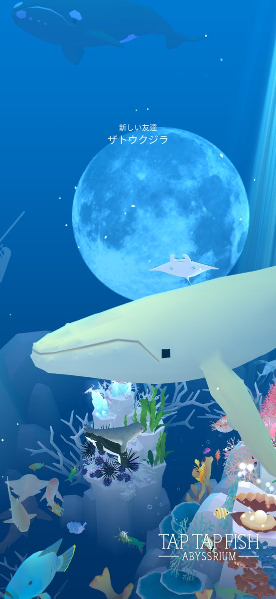balus33's tweet photo. 私のザトウクジラ:) 
#taptapfish
Download: https://t.co/8cRtkWjy3U https://t.co/roo7Qk0z0S