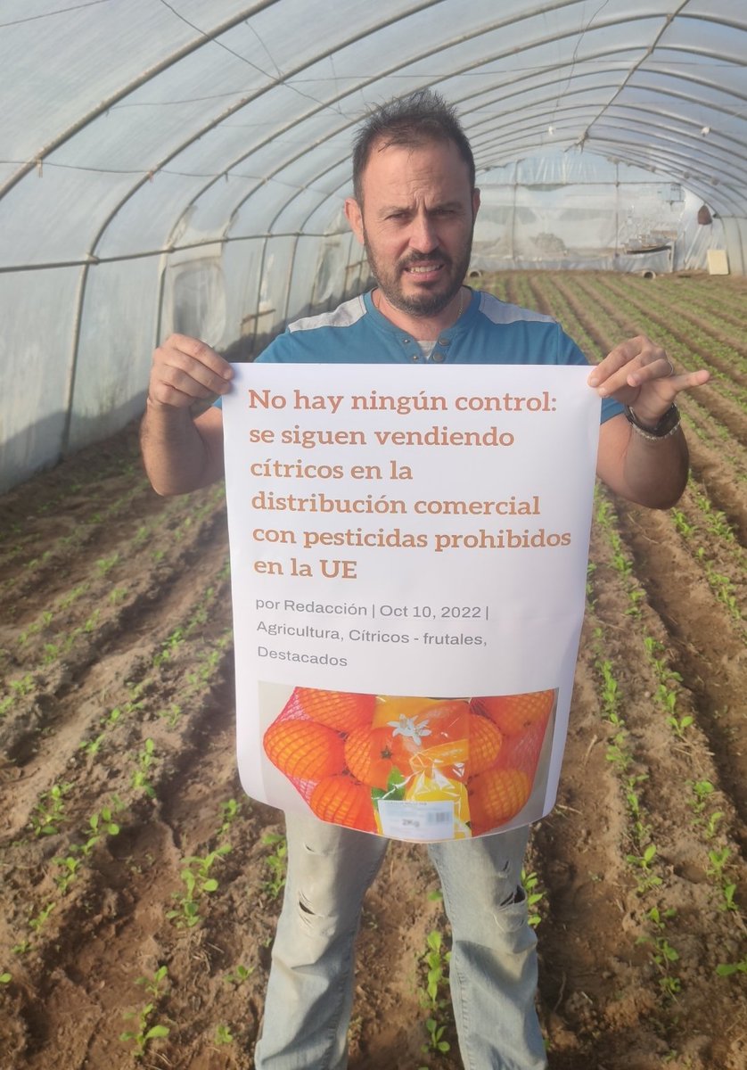 JuanviPalleter's tweet photo. De terceros países llegan sin control, cítricos con pesticidas prohibidos por la UE. 
Hacemos tendencia 
#consumeproductoespañol https://t.co/rZVILLSYhH
