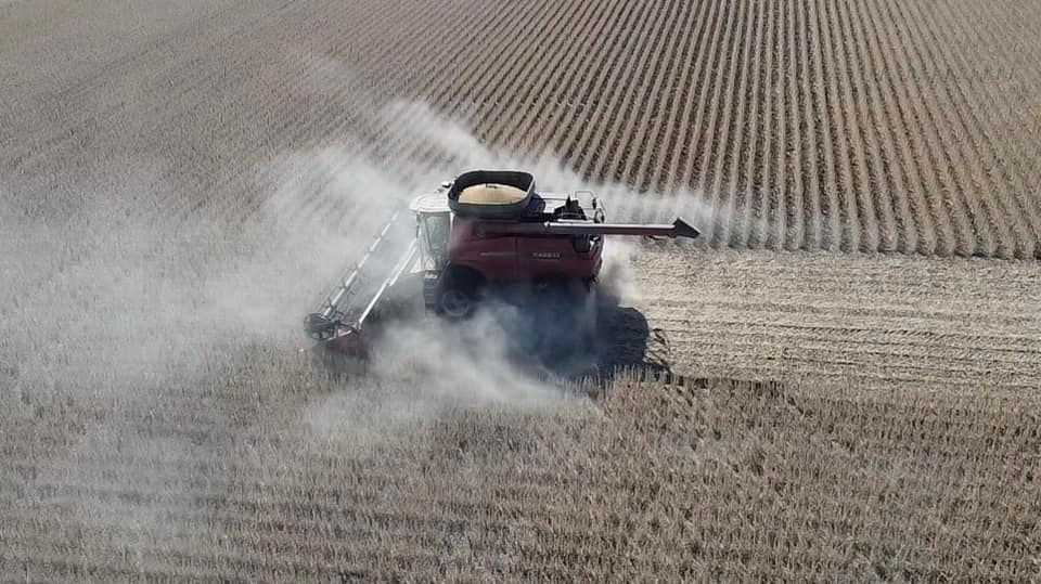 AgWest's tweet photo. Brad Grandgeorge of Clarion, IA just finished cutting beans and has started picking  corn! #pickingpics #AgTwitter https://t.co/nHaKh2F1SC