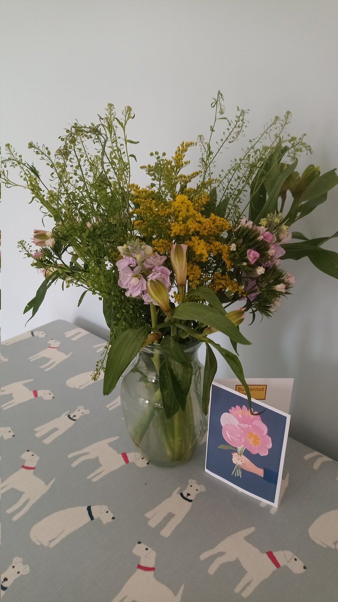 Phillippa Harrison tweet media