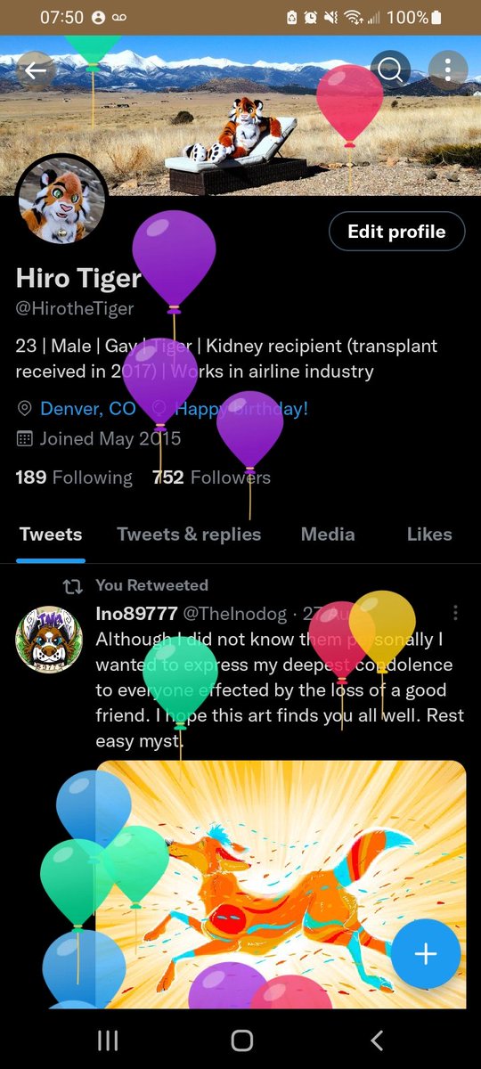 HirotheTiger's tweet photo. Oh look balloons, that's neat haha https://t.co/tS8n4GvvY5