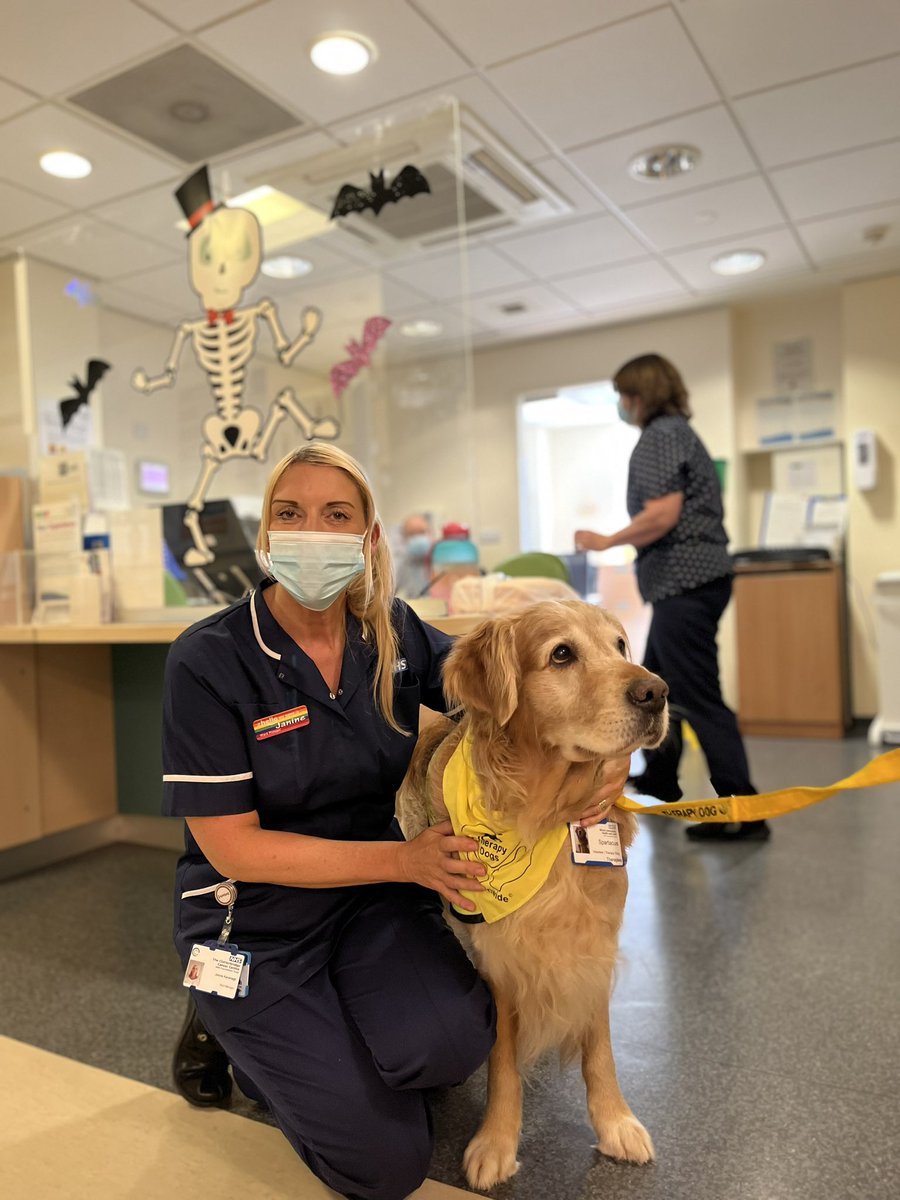 Emma James (@emmajunejames) on Twitter photo Oh my heart! I had the absolute privilege of meeting Spartacus, the therapy dog and taking him to meet patients on our CICC wards. I’ve seen patients light up and interact with us in new ways today it’s been amazing. <a href="/wchc_nhs/">Wirral Community Health&Care NHS Foundation Trust</a> #wellbeing #HolisticCare #SocialPrescribing Oh my heart! I had the absolute privilege of meeting Spartacus, the therapy dog and taking him to meet patients on our CICC wards. I’ve seen patients light up and interact with us in new ways today it’s been amazing. <a href="/wchc_nhs/">Wirral Community Health&Care NHS Foundation Trust</a> #wellbeing #HolisticCare #SocialPrescribing