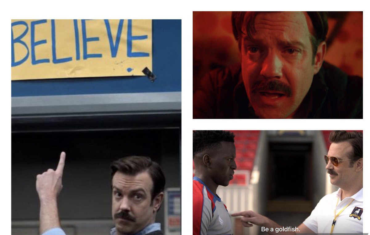 Matthew Hocking, PhD tweet media