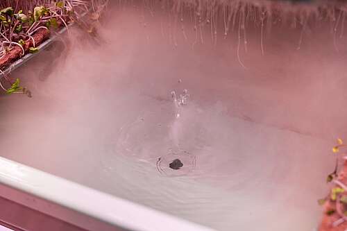 Meeting the Gov's ambitious biomass &amp; tree planting targets dlvr.it/Sb1MyB