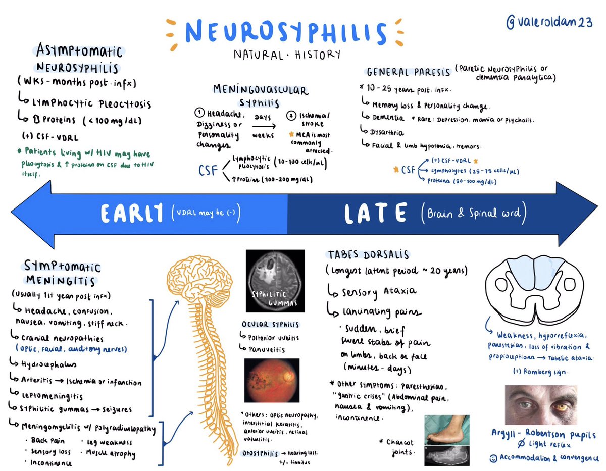 Valeria Roldan ๐ (@valeroldan23) on Twitter photo Yesterday we had a fantastic teaching session with Dr. Hook <a href="/UAB_ID/">UAB Infectious Diseases Division</a> on Syphilis ๐ฆ โค๏ธ I though may be time to update my schema on Neurosyphilis!
#MedTwitter #NeuroTwitter #IDTwitter #EndNeurophobia ๐ง โค๏ธ Yesterday we had a fantastic teaching session with Dr. Hook <a href="/UAB_ID/">UAB Infectious Diseases Division</a> on Syphilis ๐ฆ โค๏ธ I though may be time to update my schema on Neurosyphilis!
#MedTwitter #NeuroTwitter #IDTwitter #EndNeurophobia ๐ง โค๏ธ