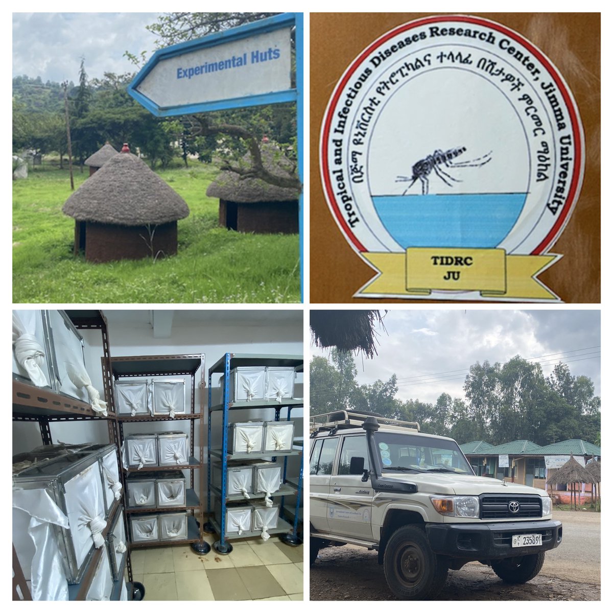 MNikulkova's tweet photo. Had a great tour of the facilities at Tropical and Infectious Disease Research Center and such a warm welcome at Jimma University. First field trip to Ethiopia but hopefully not the last! #phdlife #malaria https://t.co/IkuIsZGGob