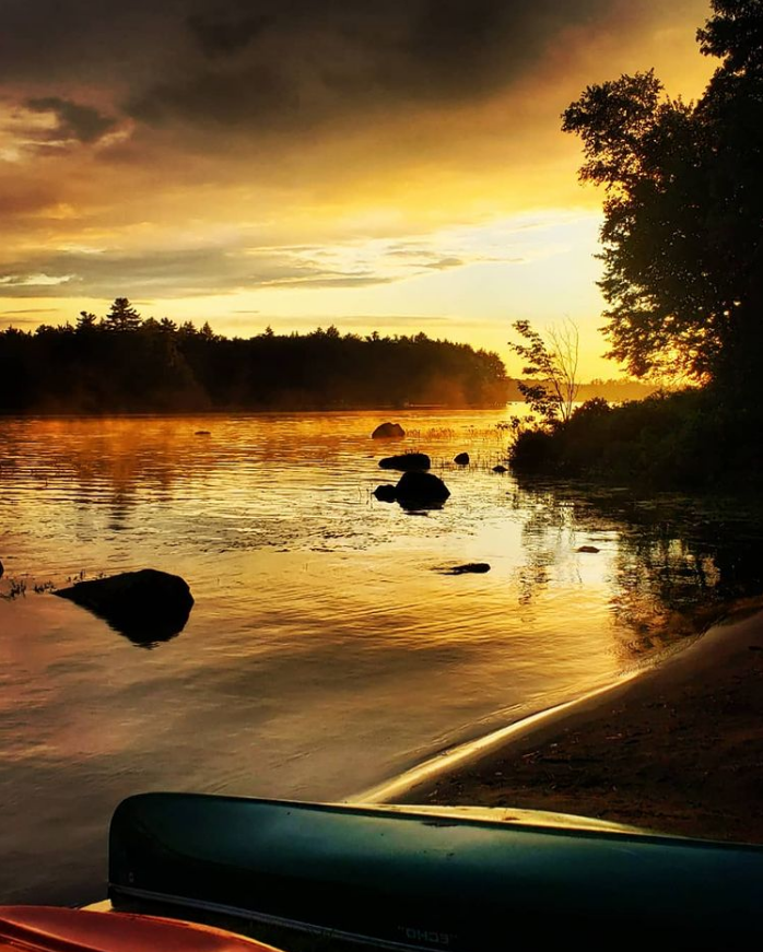 ExploreON's tweet photo. 😍 A gold of a sunrise on Wood Lake in Muskoka. 

📸 @ olivons12 on Instagram
#woodlakemuskoka #exploreON #DiscoverMuskoka https://t.co/zv8Bz1Kdz0