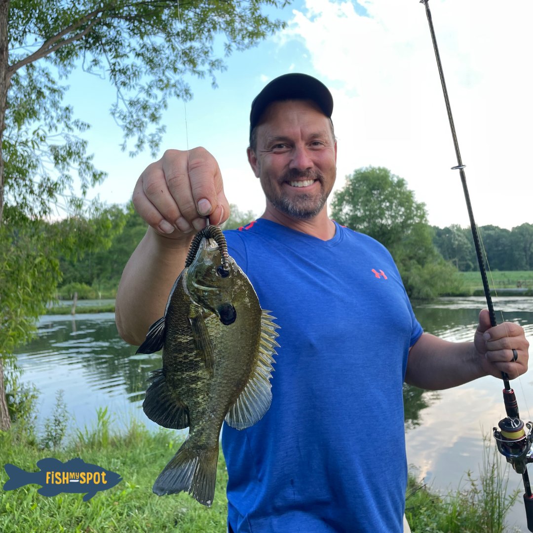 Are you looking to get outside and enjoy a memorable and private fishing trip? Check out our listings @fishmyspot.com. We have a 'reeling', you are going to be hooked!🎣 #fishmyspot #gethooked #fishing #gofish #fishingislife #fishingaddict

*Catch is at Trophy Fishing in Green.