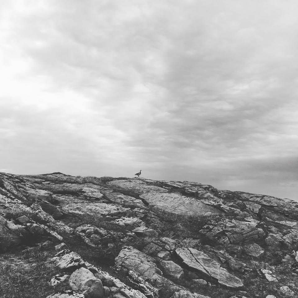 #WildGooseFestival2022 - Saturday 29th October

SOLWAY TO SVALBARD
A unique piece of theatre bringing together original music with cinematic visuals, evocative soundscapes &amp; live storytelling
@ 8pm - 10pm
Loreburn Hall / <a href="/weareDMC/">We Are DMC</a> 

ℹ️ Full programme here: wildgoosefestival.scot