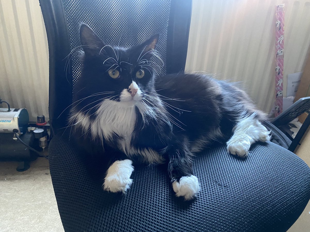 Captain Pickle tweet media