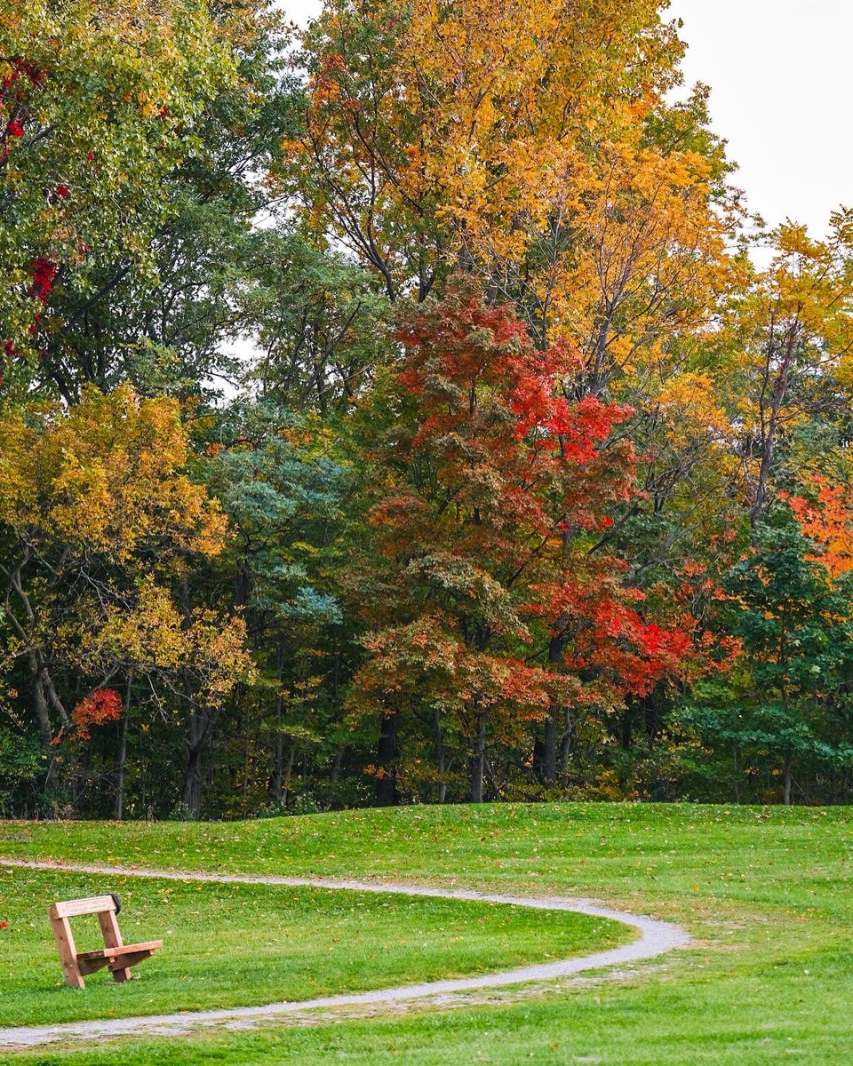 MadyStoner's tweet photo. Colors are popping in Rocky River! @clevemetroparks https://t.co/TKbuR4ZfoN