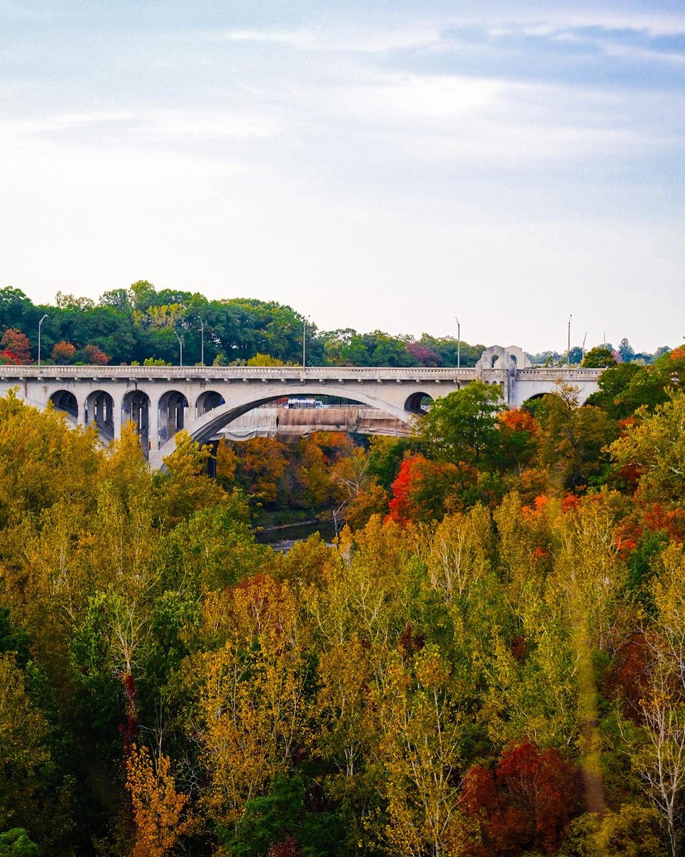 Colors are popping in Rocky River! <a href="/clevemetroparks/">Cleveland Metroparks</a>
