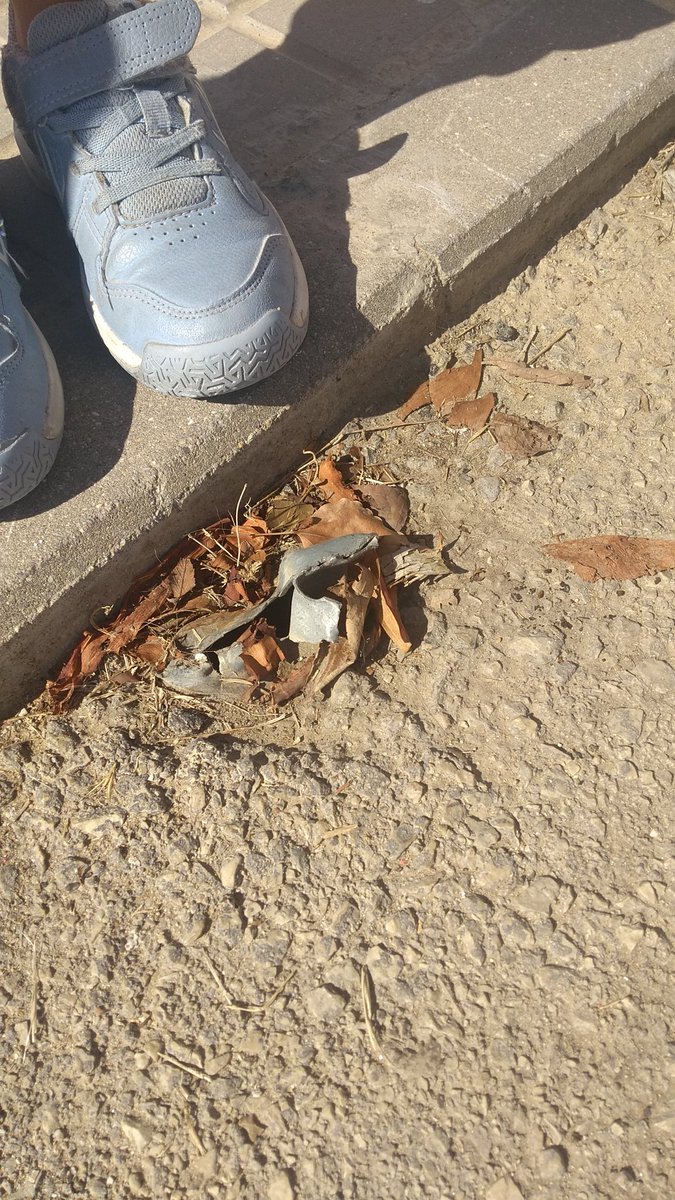 belmad1's tweet photo. @010SEVILLA  @Ayto_Sevilla foto denuncia.Restos de tubo de señal de trafico en la puerta de vehículos de colegio Ceip Jose Sebastián y Bandaran,calle Alonso Sánchez de https://t.co/qyFIbvPROQ debería eliminar o tapar  para evitar accidentes,puerta usada como salida de los niños https://t.co/usdfLtsCzA