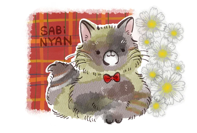 サビ猫ちゃん 