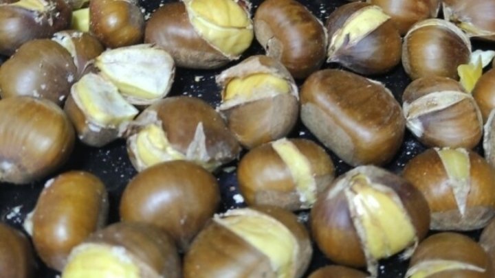 KESTANE ÇİZMEYİ SEVEN VAR MI ?