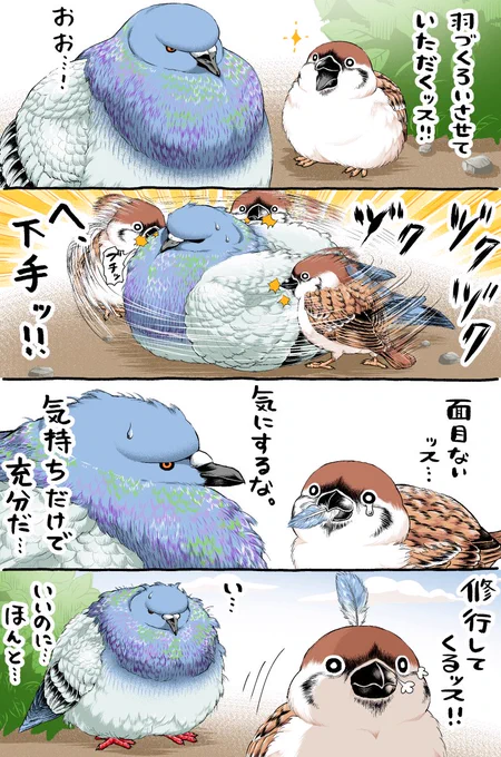 スズメくんの羽づくろい 