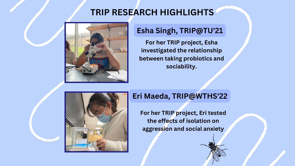 TRIPInitiative's tweet photo. Today we're highlighting research by Esha Singh and Eri Maeda! Learn more about them and their research projects at https://t.co/qyQW7Pjdjr and https://t.co/vTE3NN9aAT.

Check out some of the other research that our #highschool #scientists have performed: https://t.co/q3OLsM9qta https://t.co/gpA7lHvkJ3