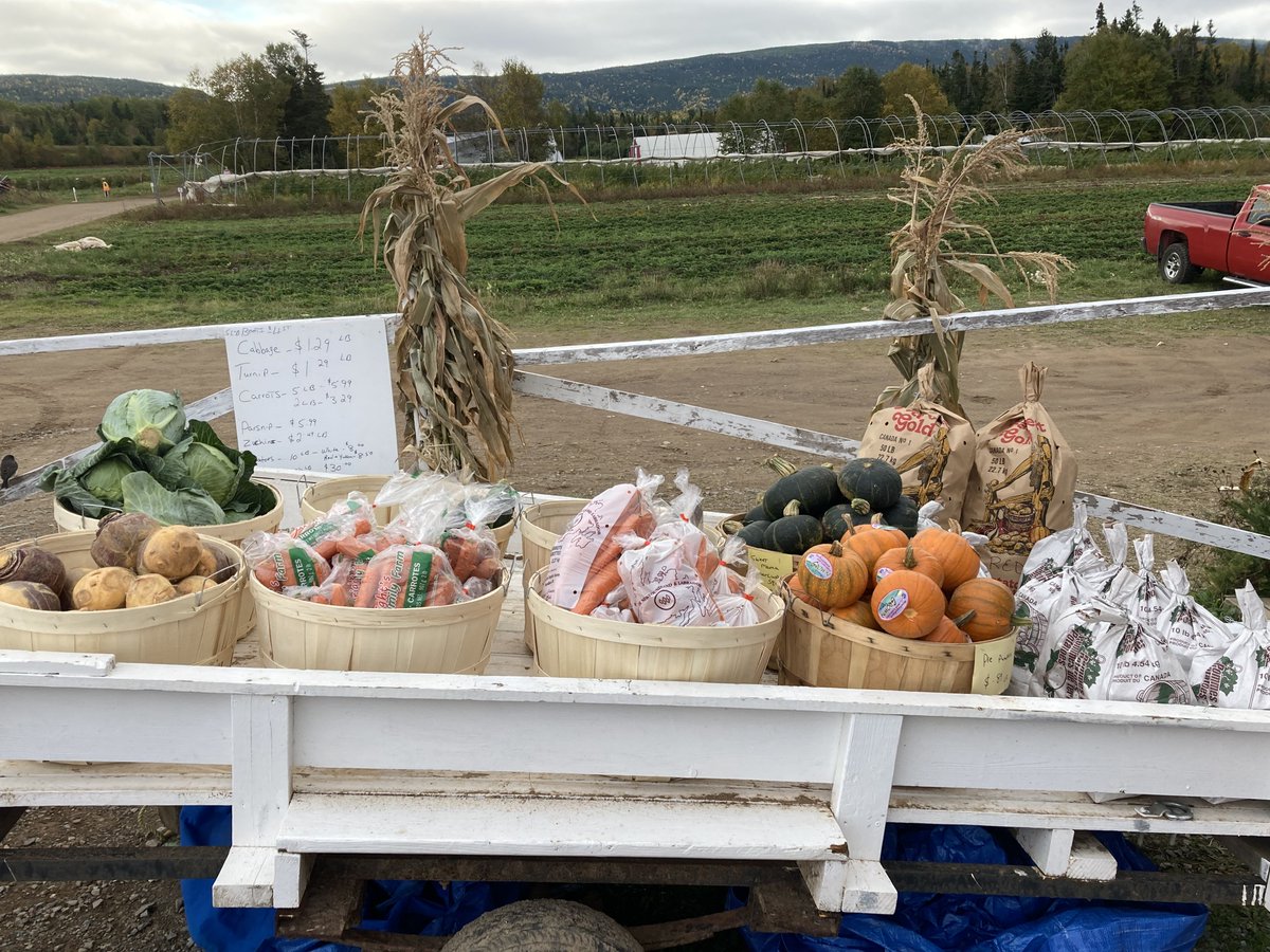 wrightbees's tweet photo. We have lots of fresh, local vegetables available for that pot of soup, stew or dinner. We’re open 10-6. Stop out and pick up something great! #nlwrights #alwaysfreshalwayslocal https://t.co/dod0InHy2g