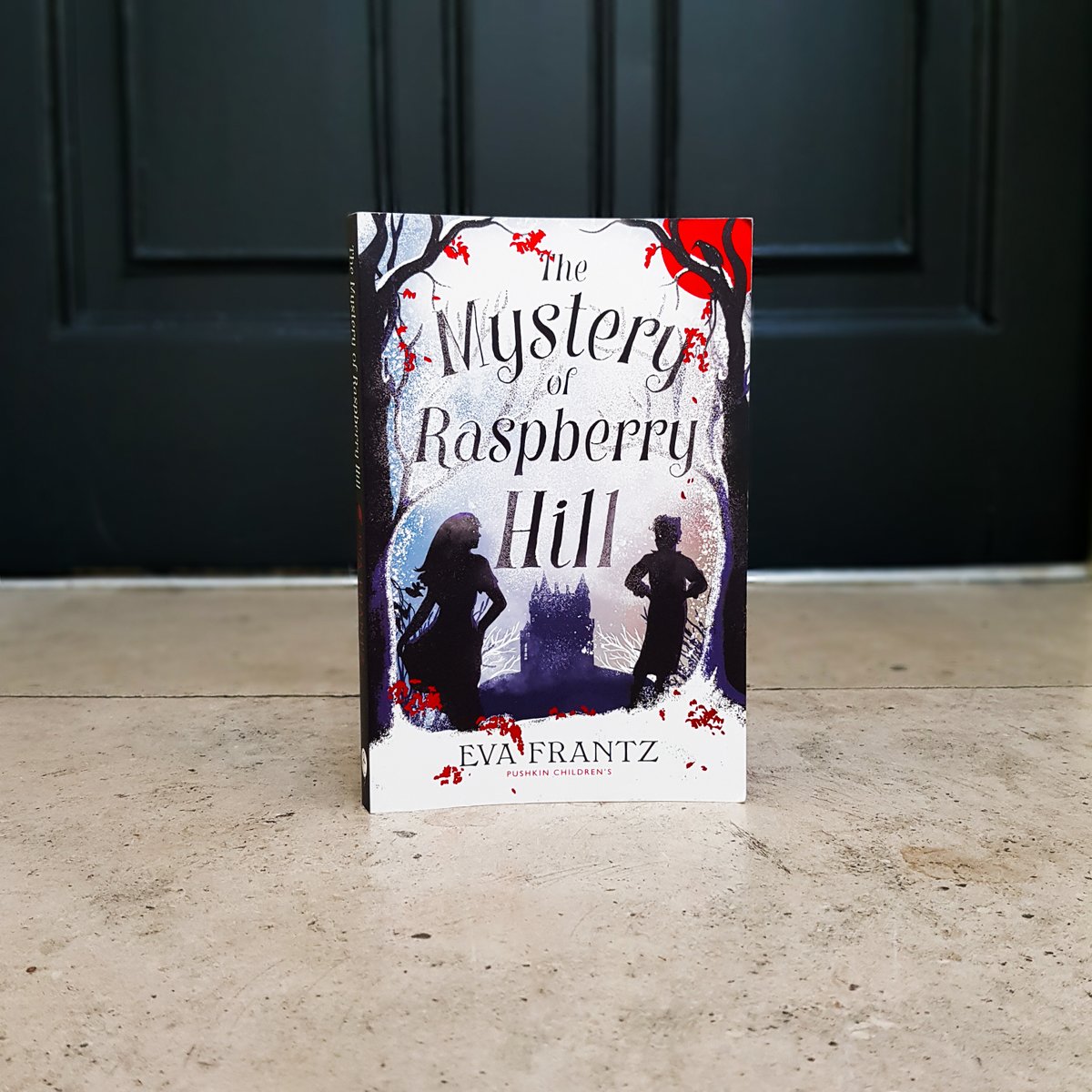 OUT NOW for younger readers! The Mystery of Raspberry Hill by @FruFrantz is a thrilling gothic mystery set in a spooky sanatorium during the 1920s.👻 Readers have described it as: 'A touching and quick read' 'Enough to make you feel goosebumps' 'Enrapturing from start to finish'