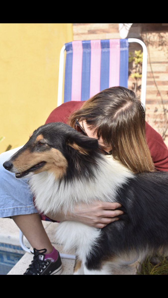 b_pauuuu's tweet photo. También si alguien sabe quién puede tenerla, por favor, avisarnos.
Mañana puede ser el tuyo.
La ida de un perro de su hogar, se siente como un vacío constante en el pecho. 
Somos una familia que solo desea estar completa otra vez.
Vos podes ayudarnos! https://t.co/dMZ8faW9Mn