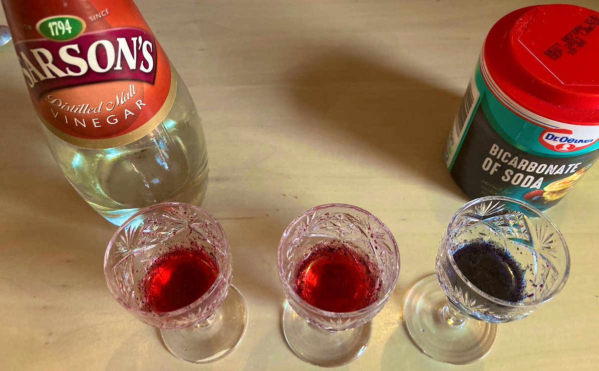 gmd_bear's tweet image. Back home from a lovely holiday to Majorca. ☀️ What better way to use the Marjocan hibiscus salt souvenir than to test whether it’s a good pH indicator 🧪👩🏻‍🔬😁 #pHindicator #gardenindicators What do you think @CrocodileChemi1? #CitizenScience