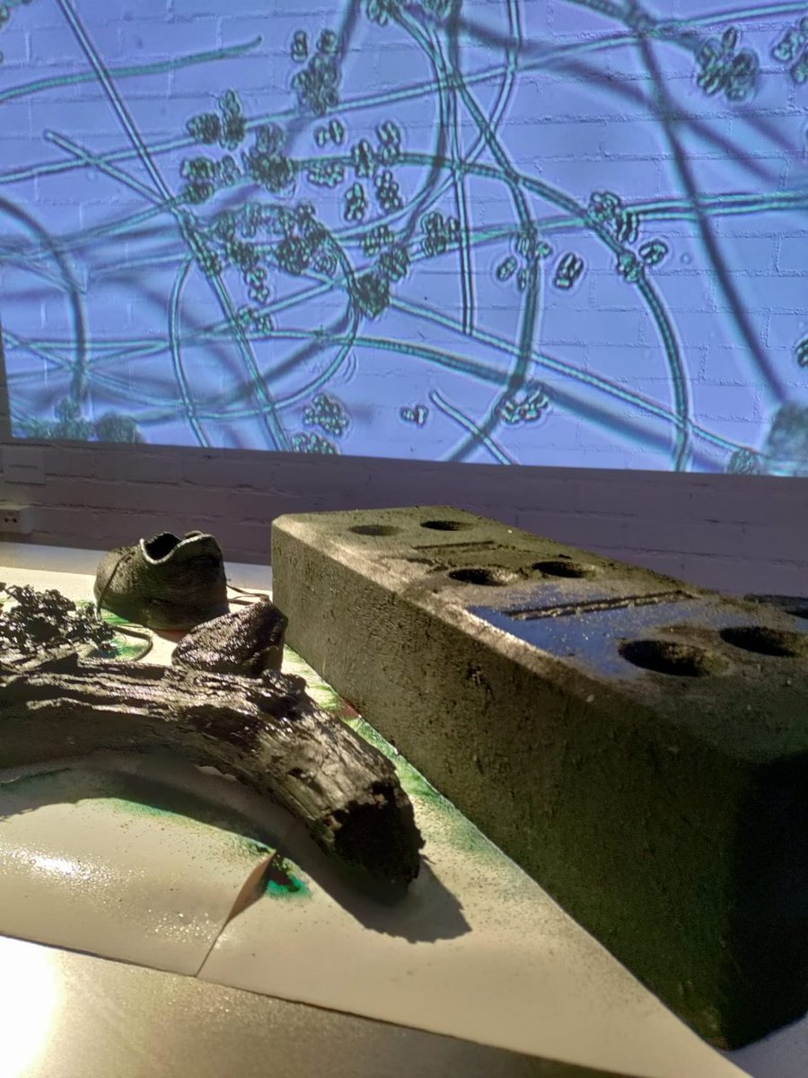 CyanoBaltic's tweet photo. Contemporary Design MA students from @AaltoUniversity invited us to one exhibition focused on the problem of eutrophication in the Baltic Sea. They drawn the attention on cyanobacterial blooms in a very intense way: when science meets art the result is terrific.
@NesslingSaatio https://t.co/7rTEiUiEVg