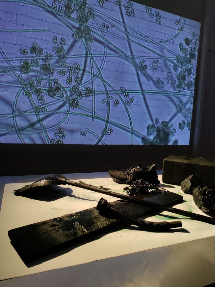 CyanoBaltic's tweet photo. Contemporary Design MA students from @AaltoUniversity invited us to one exhibition focused on the problem of eutrophication in the Baltic Sea. They drawn the attention on cyanobacterial blooms in a very intense way: when science meets art the result is terrific.
@NesslingSaatio https://t.co/7rTEiUiEVg