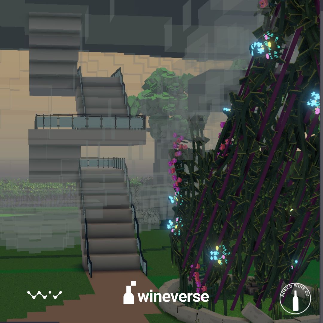 That's not mist, that's The Wine Bottle glass wall. What do you think? 

#metaverse #blockchain #web3 #technews #wine #finewine #harvest #wineharvest