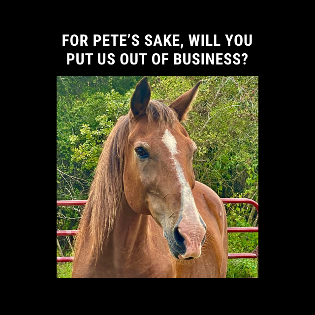 We want to be put out of business – because that would mean there’s no such thing as equine abuse. ‘Til then, ensure there’s always a place for a horse in need. Join our #25thAnniversary Fundraiser today. bit.ly/25thAnniversar…
