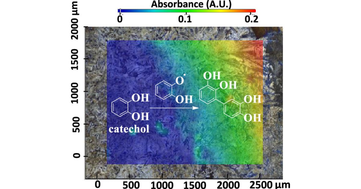 ACS_Omega's tweet photo. ▶️ Interfacial Oxidative Oligomerization of #Catechol
👥 Marcelo I. Guzman, Elizabeth A. Pillar-Little, and Alexis J. Eugene
https://t.co/sgtC9wANsL
@ukychem #Interface #ThinFilms https://t.co/SVscBhy1Q3