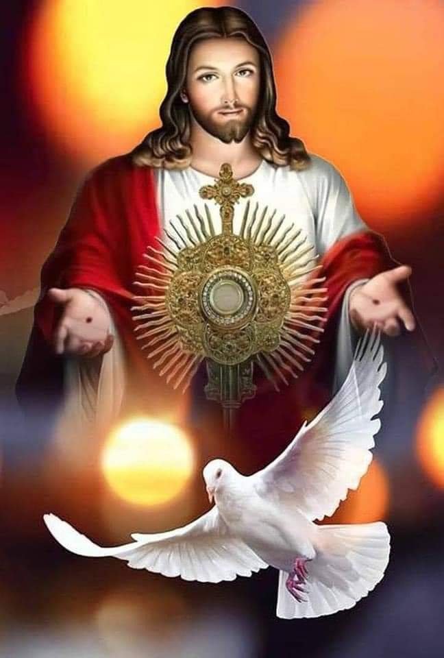 'God dwells in our midst, in the Blessed Sacrament of the Altar.' 
-St Maximilian Kolbe 
Blessed be Jesus in the Blessed Sacrament, strengthen our faith and protect us. 🙏✝️🕊️
#ThursdayDevotion