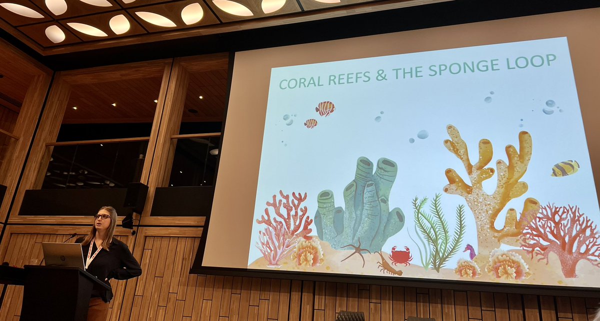 Sponge_2022 tweet media