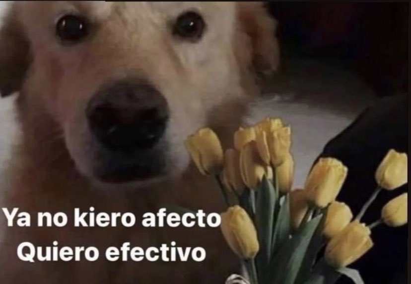 Xexu (@xexu_fernandez) on Twitter photo 