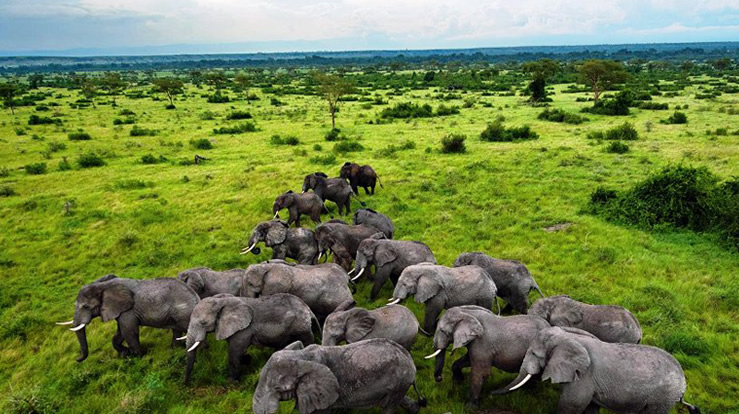 taubanictours's tweet photo. Have you ever wondered where you can chill from ?
Taubanic ToursNTravel ensure quality tours and travels all corners of the world at cheapest price possible.
COME TEST THE NATURE OF UGANDA
Website: https://t.co/3ExHTJN6El
Tel: +256757006103
Whatsapp: +971566952093 ,+971502315204 https://t.co/o9EGnmK1Az
