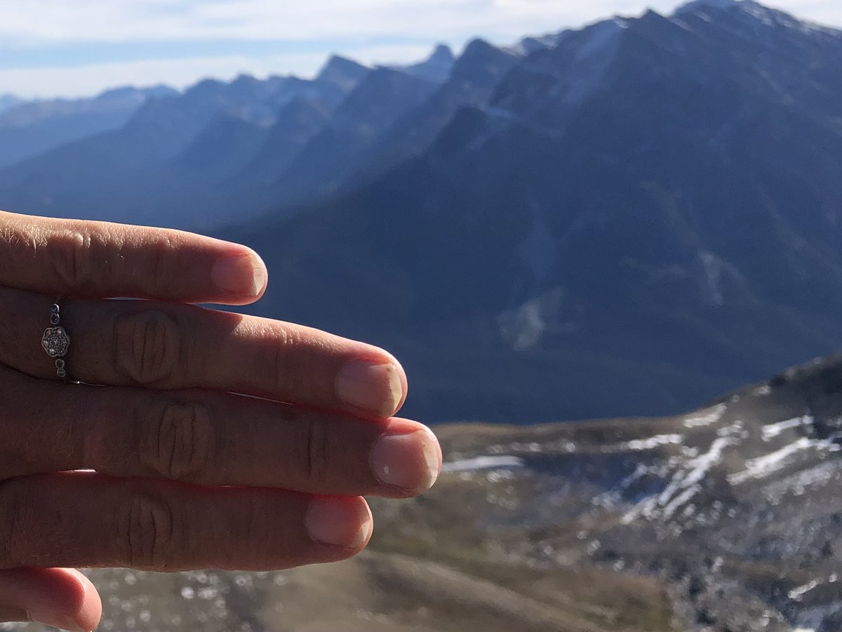 Dawn McCafferty tweet media