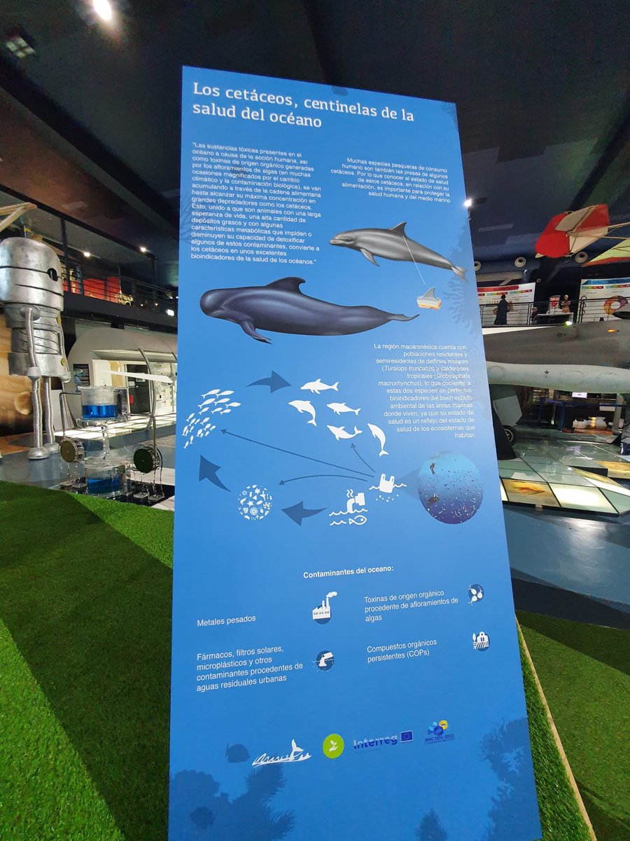 IUSA_ULPGC www.iusa.eu tweet media