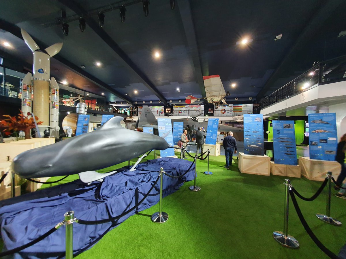 IUSA_ULPGC www.iusa.eu tweet media